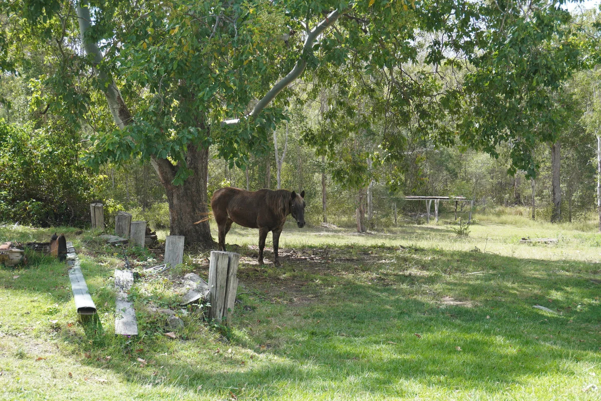 Additional image 35 of 487 Paddys Flat Road, Tabulam NSW 2469
