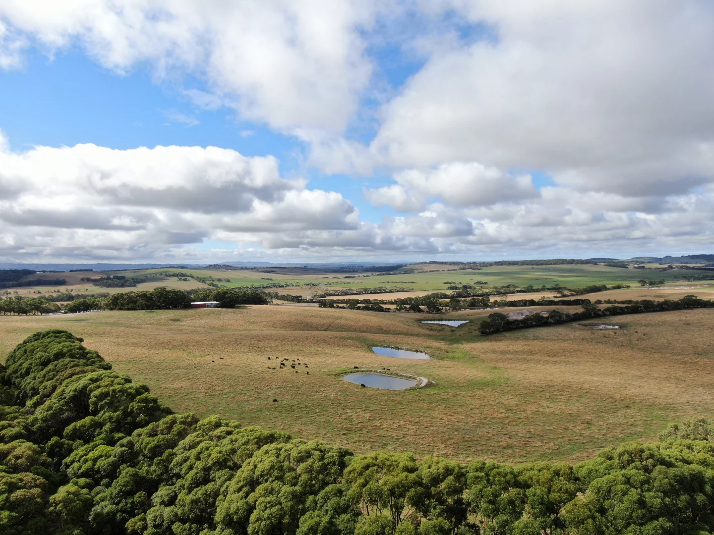 Additional image 7 of 161 Koonwarra Pound Creek Road, Leongatha South VIC 3953