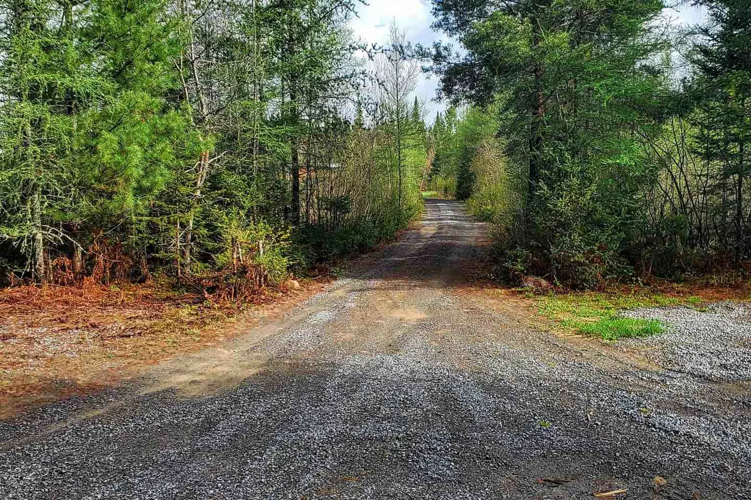 Additional image 11 of 297 Joly Strong Road