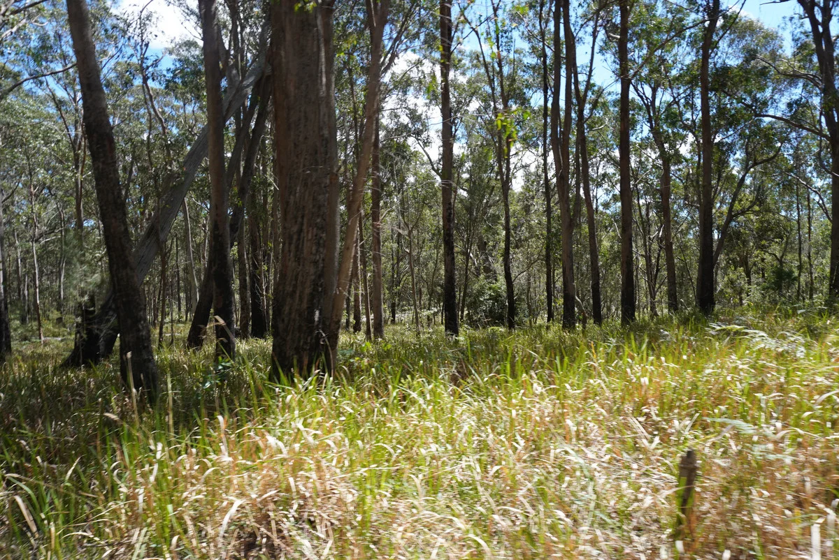 Additional image 35 of 1293 Mount Lindesay Road, Tenterfield NSW 2372