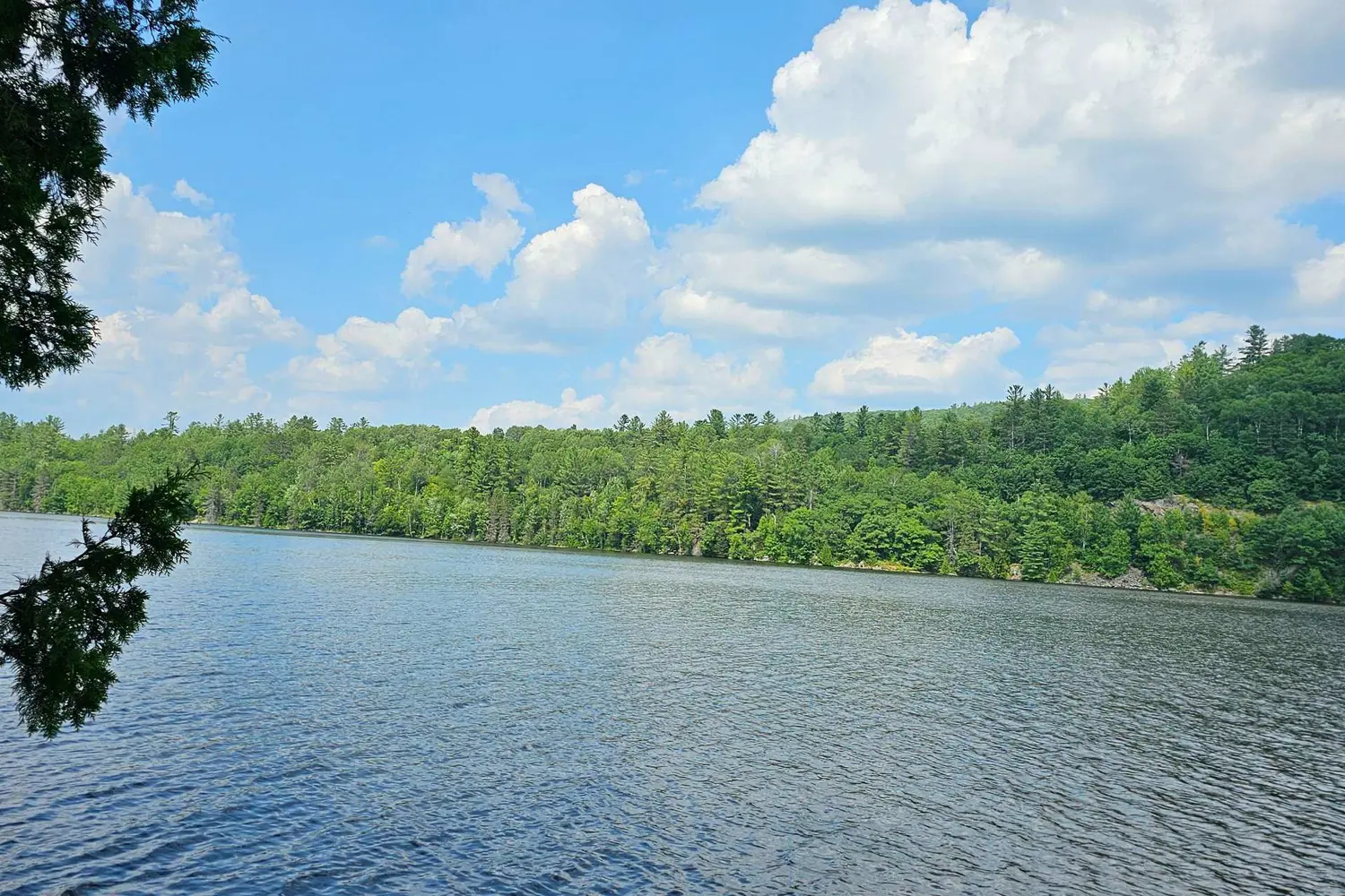 1267 Snake Creek Road photo 2