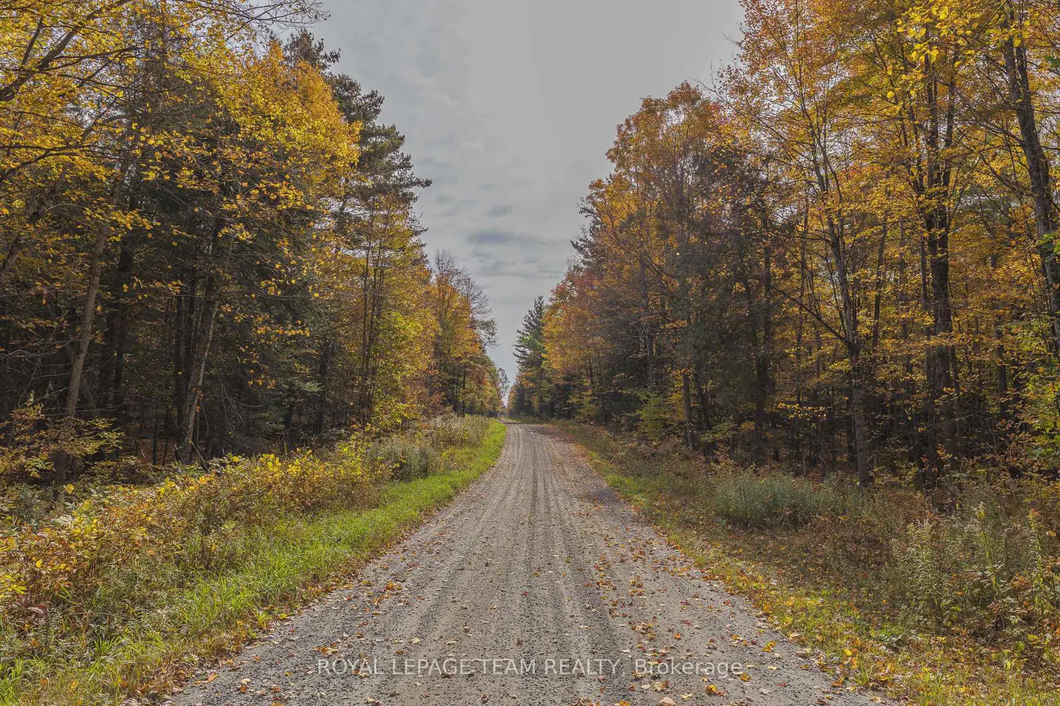 Lot 7 10Th Concession B Road
