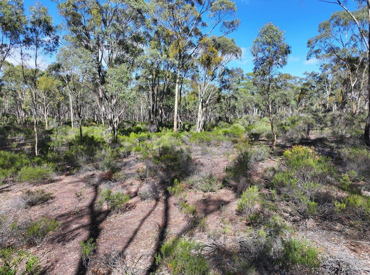 Additional image 5 of 0 Halls Road, Kingower VIC 3517