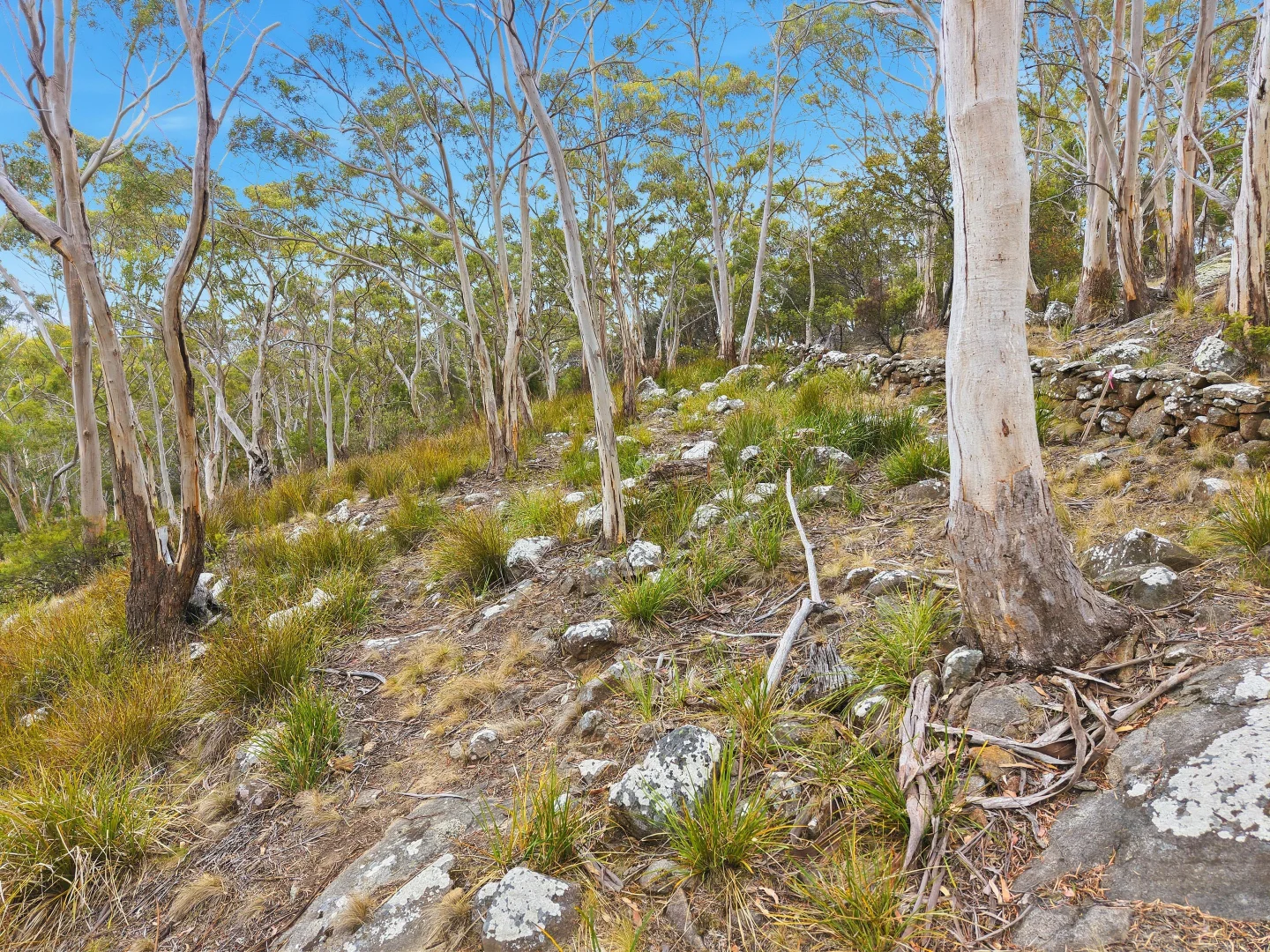 Additional image 17 of Lot Lot 2/649B Nelson Road, Mount Nelson TAS 7007