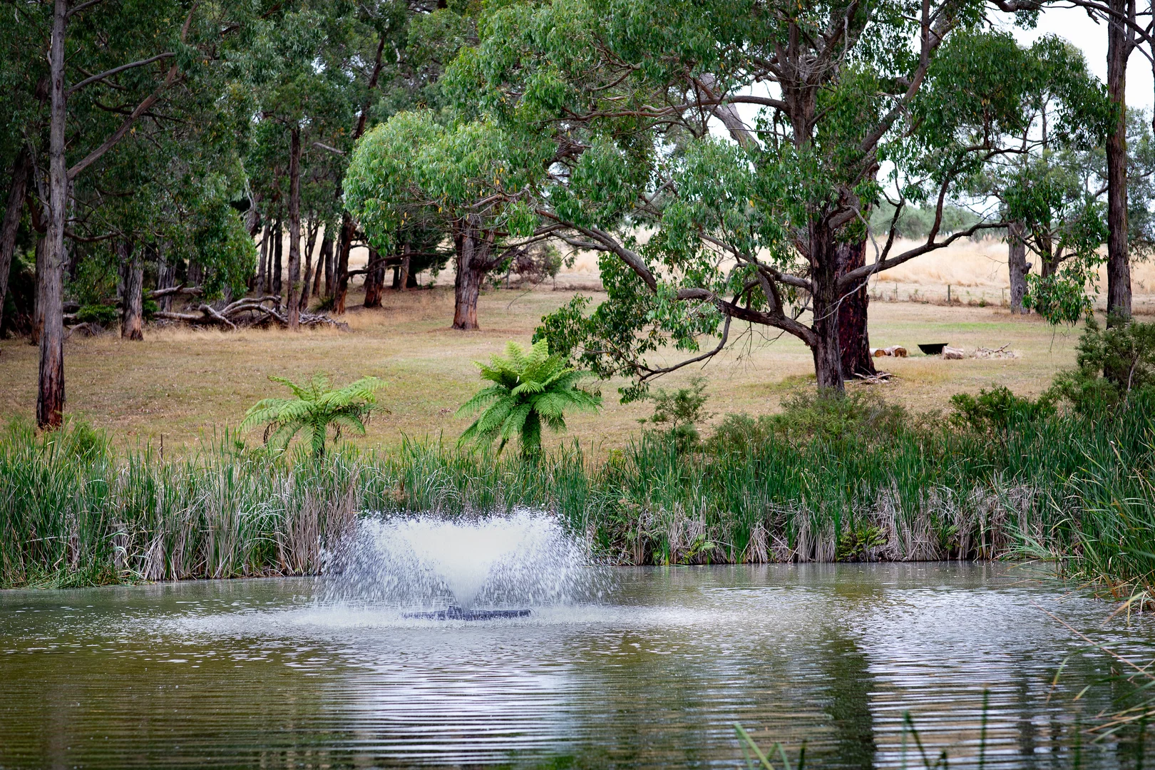 Additional image 25 of 143 Point Leo Road, Red Hill South VIC 3937