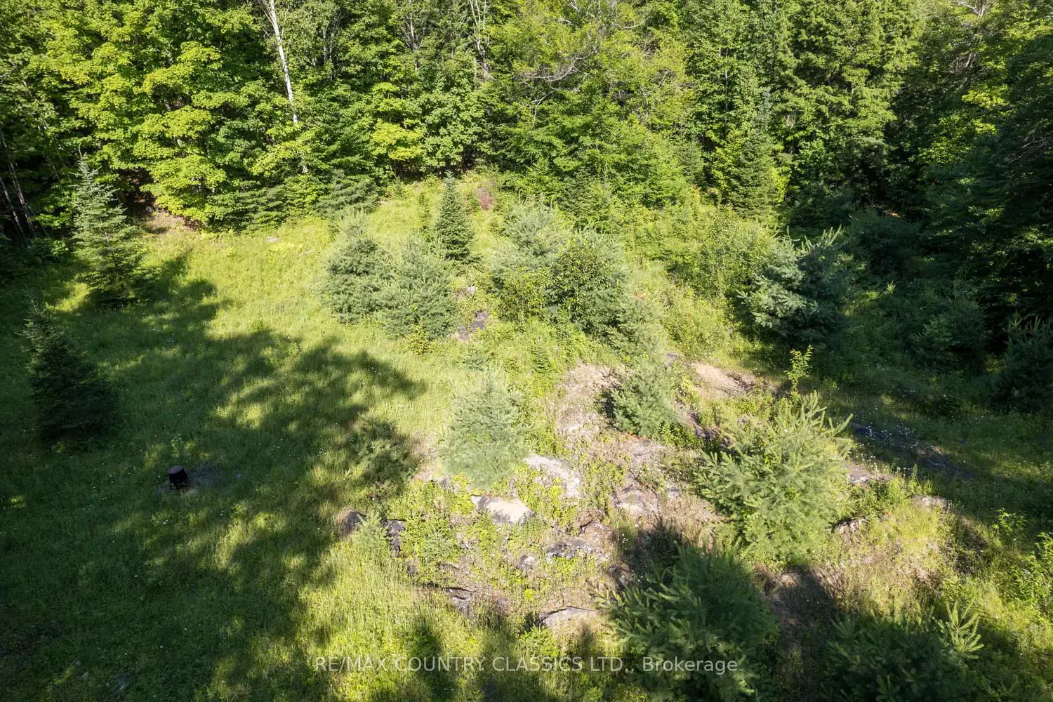 Additional image 7 of 1805 Bay Lake Road