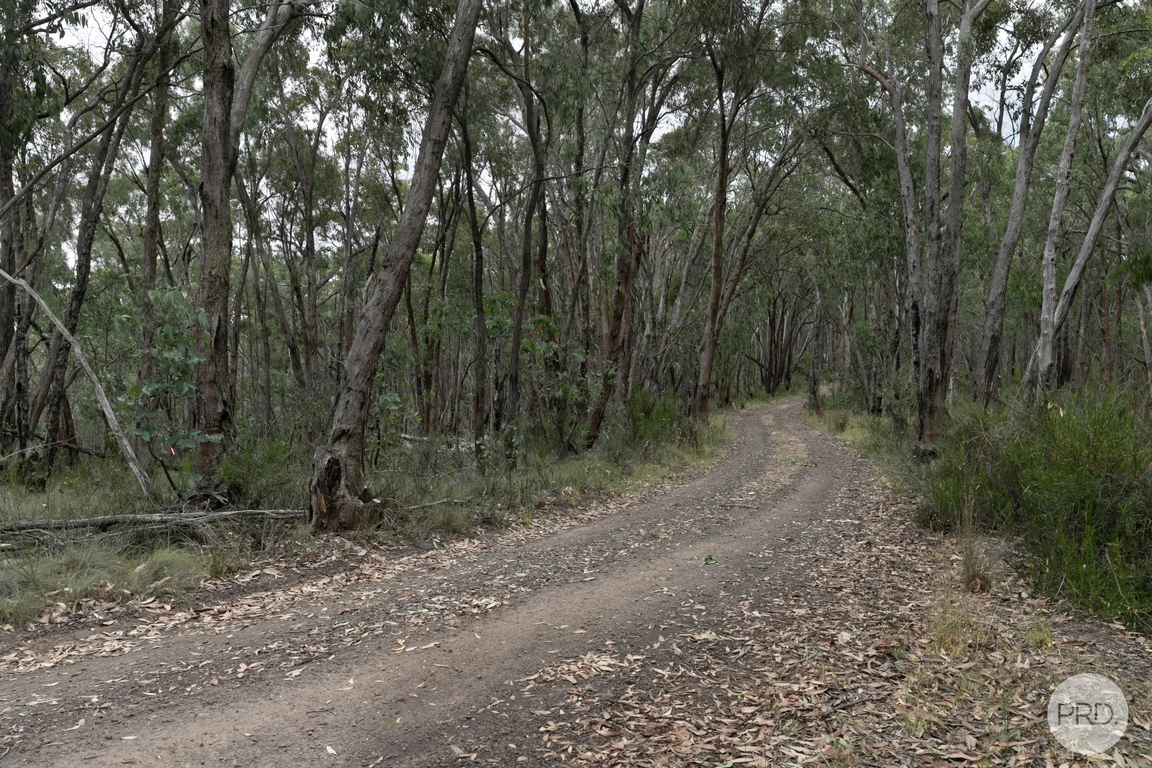 Additional image 4 of Lot 5 Haighs Lane, Snake Valley VIC 3351