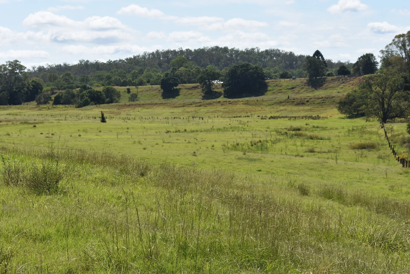 Additional image 12 of lot 103 Pidgeons Road, Tiaro QLD 4650