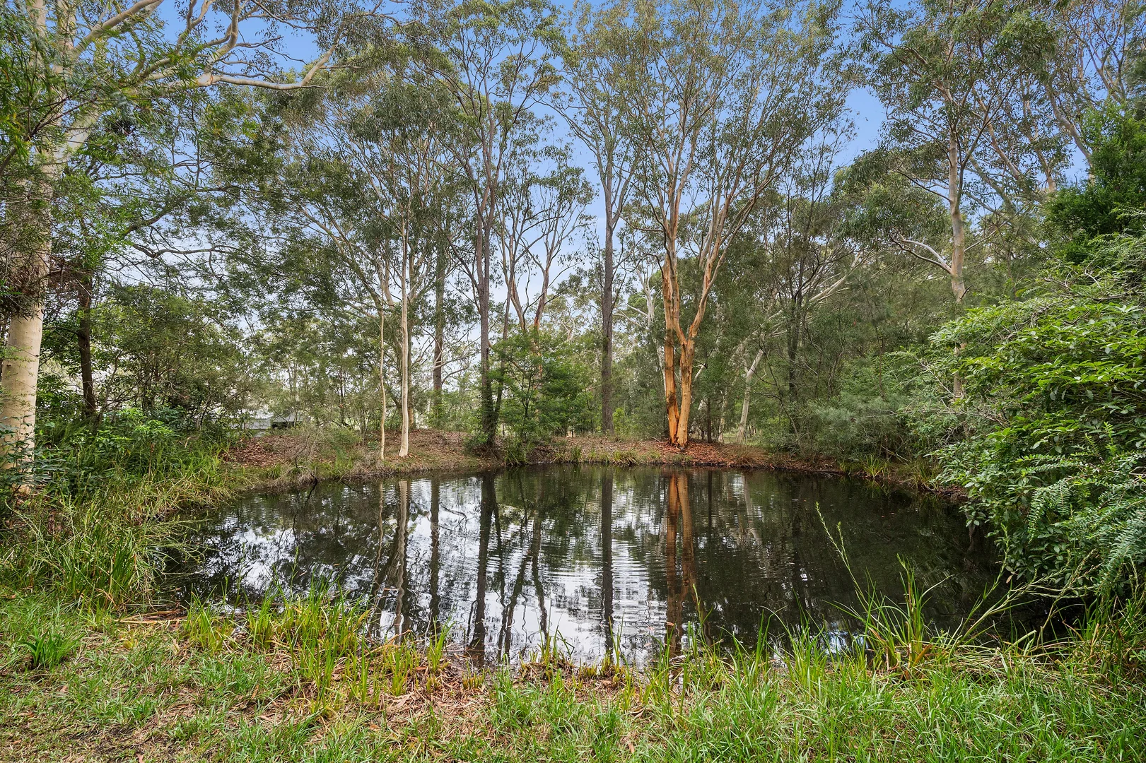Additional image 14 of 644 Sussex Inlet Road, Sussex Inlet NSW 2540