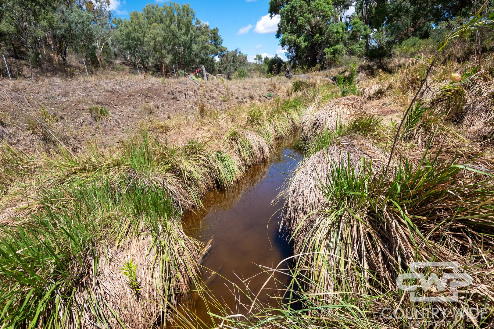 Additional image 20 of 989 South Valley Road, Rocky Creek NSW 2371