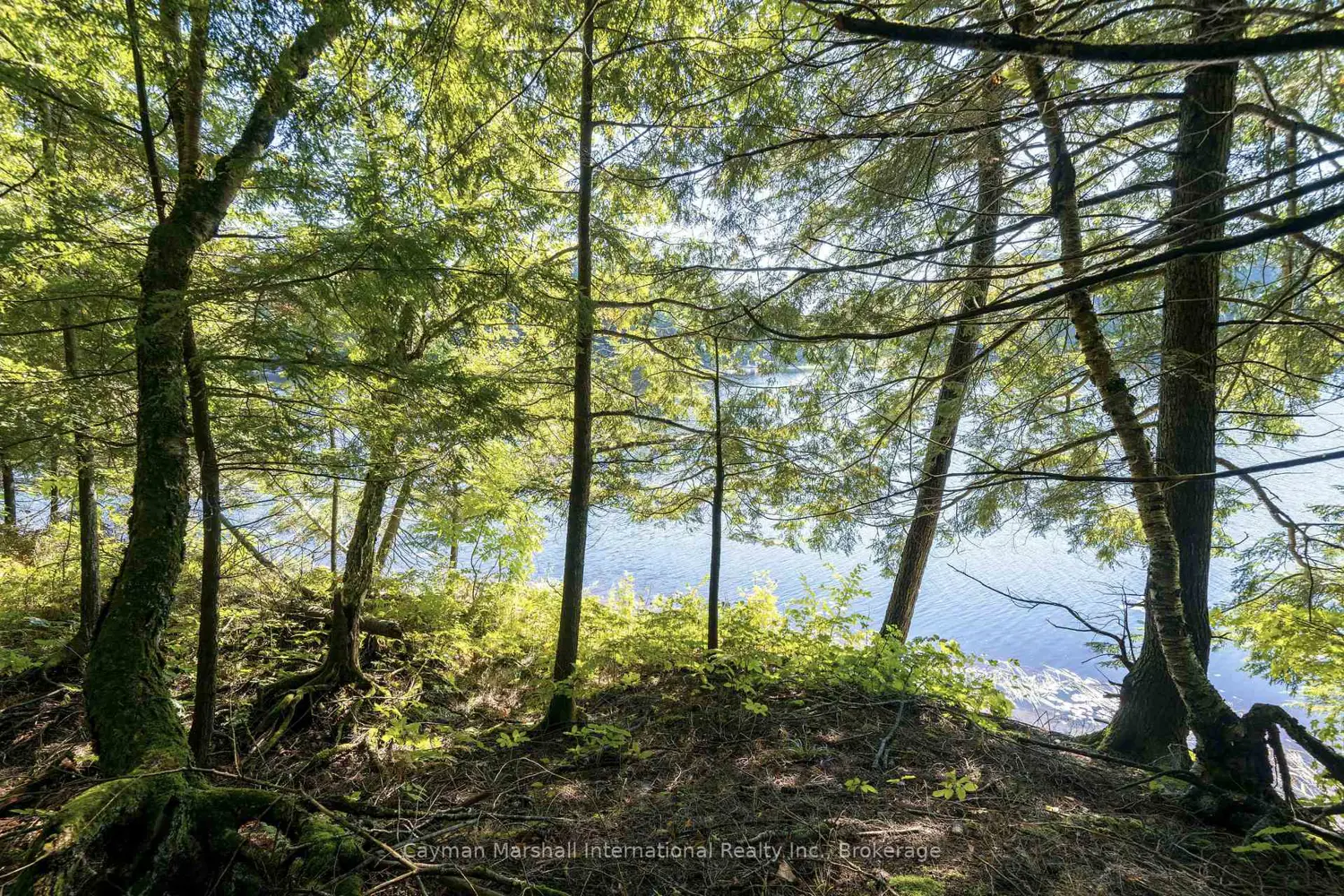 Additional image 8 of 40 Stillwater Lane