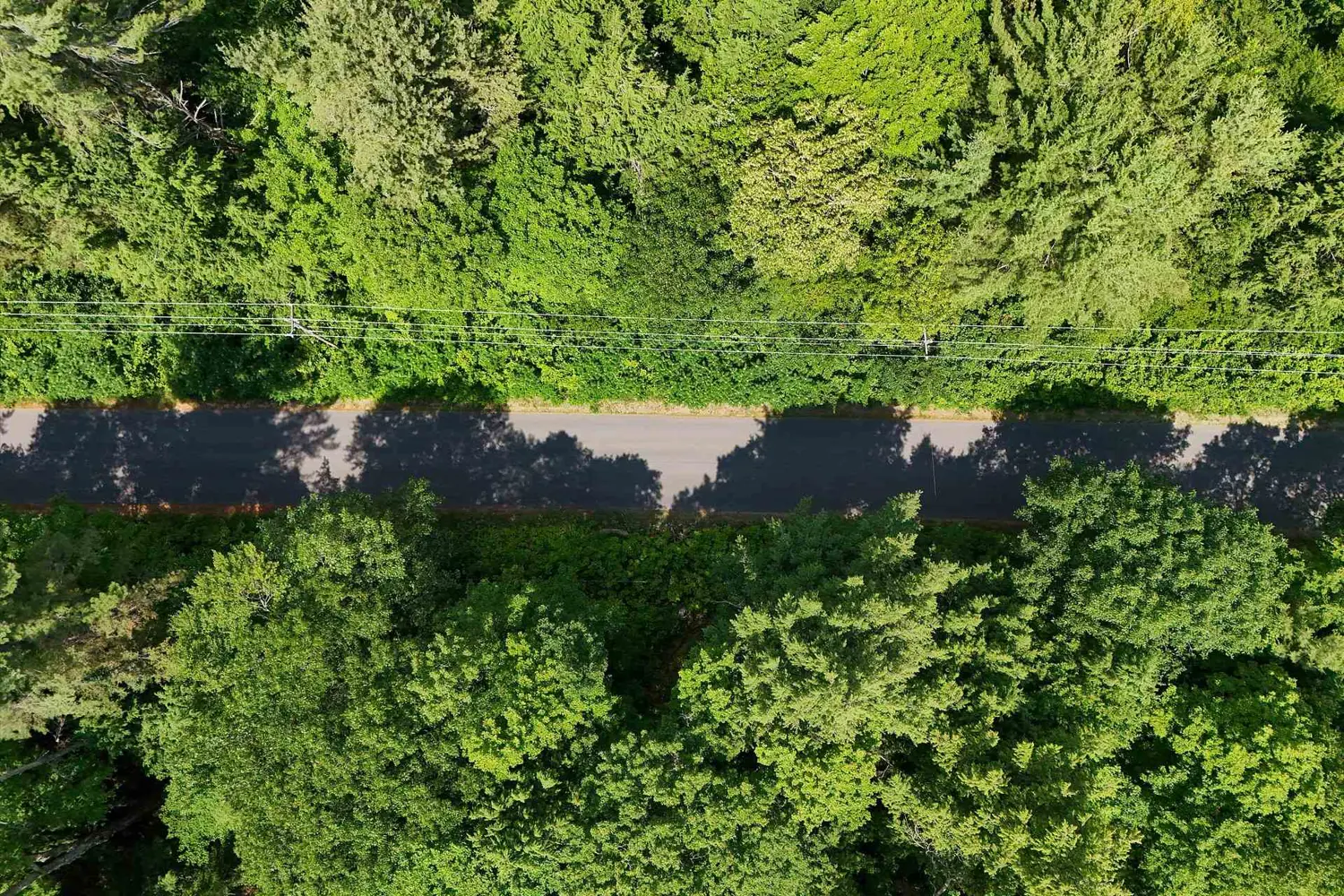 1098 Old Hwy 117