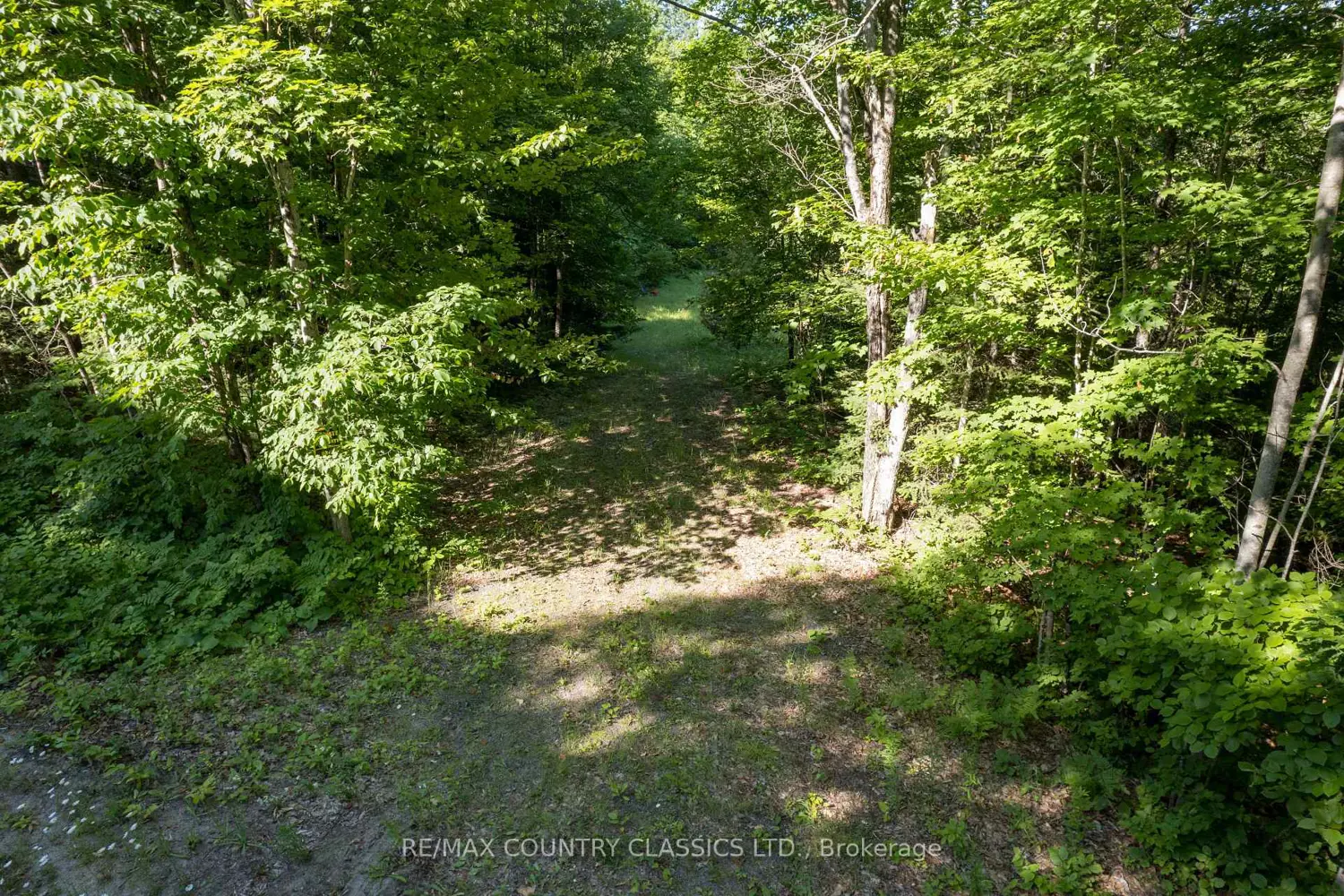 Additional image 4 of 1805 Bay Lake Road