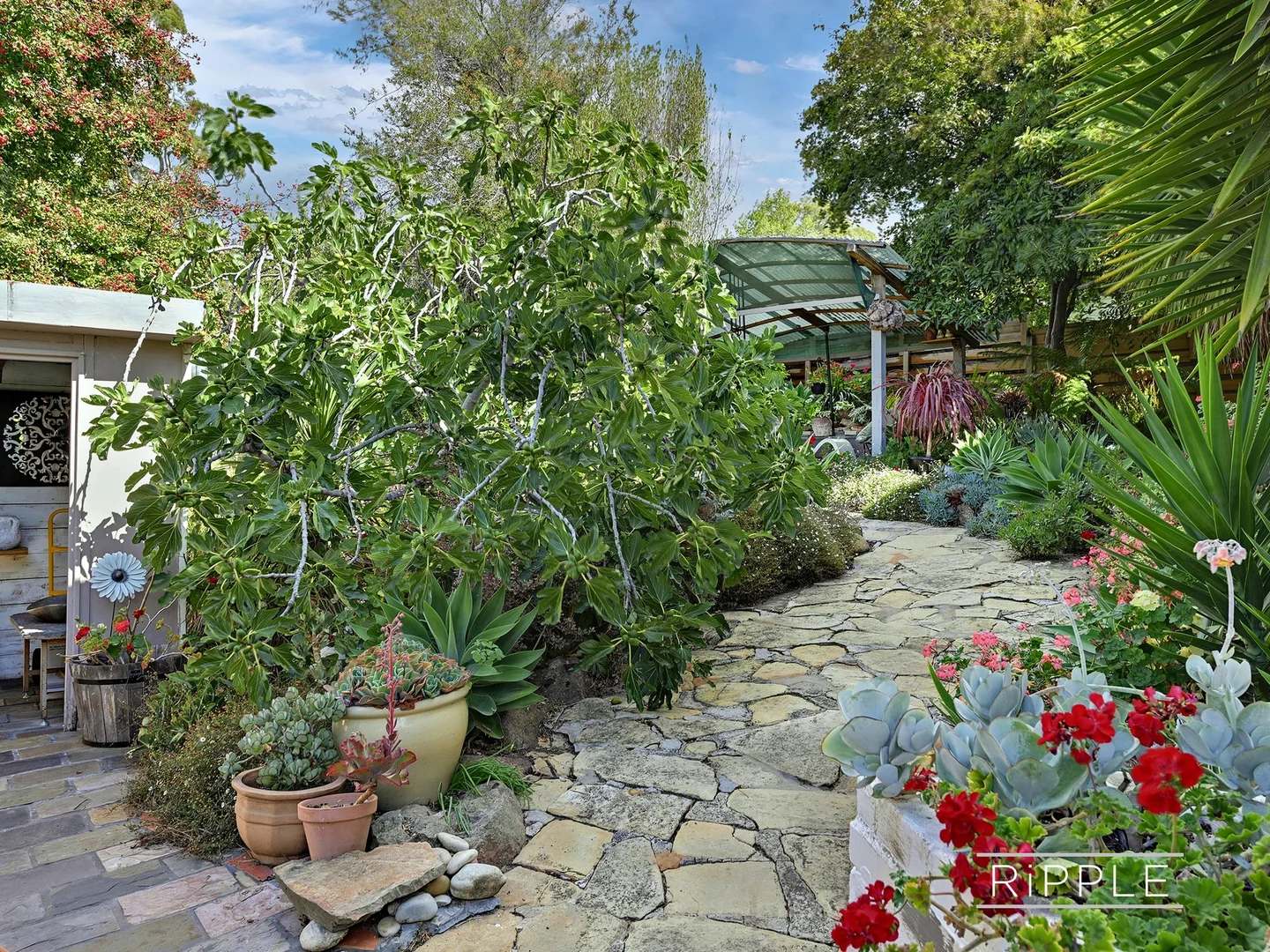 Additional image 20 of 4 Athleen Avenue, Lenah Valley TAS 7008