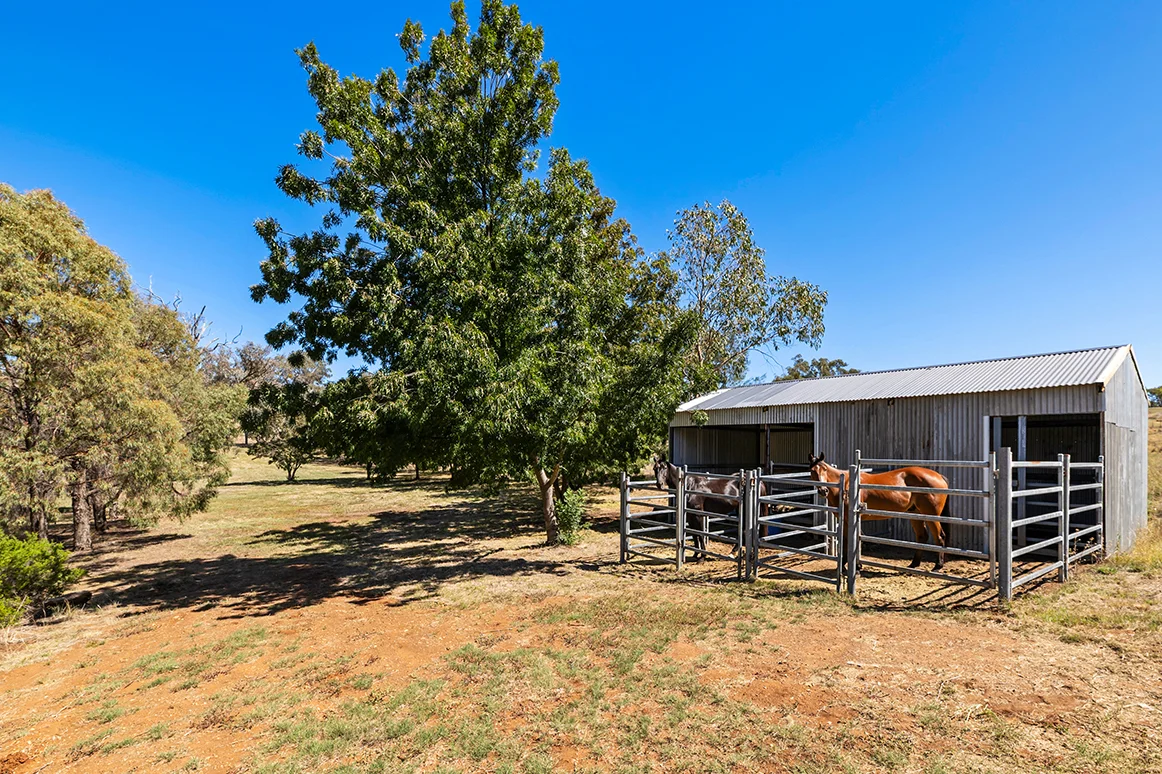 Additional image 23 of 477 Mousehole Lane, Orange NSW 2800