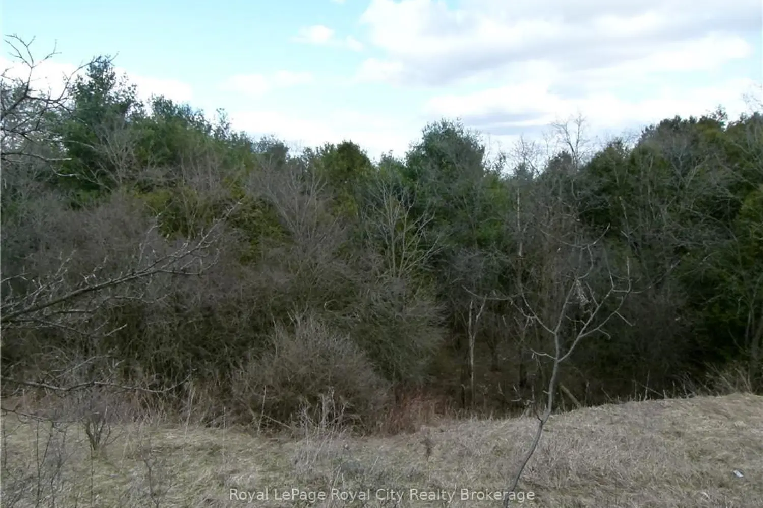 8256 Highway 7 photo 3