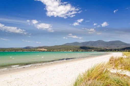 Additional image 7 of 18 Mace Crt, Orford TAS 7190