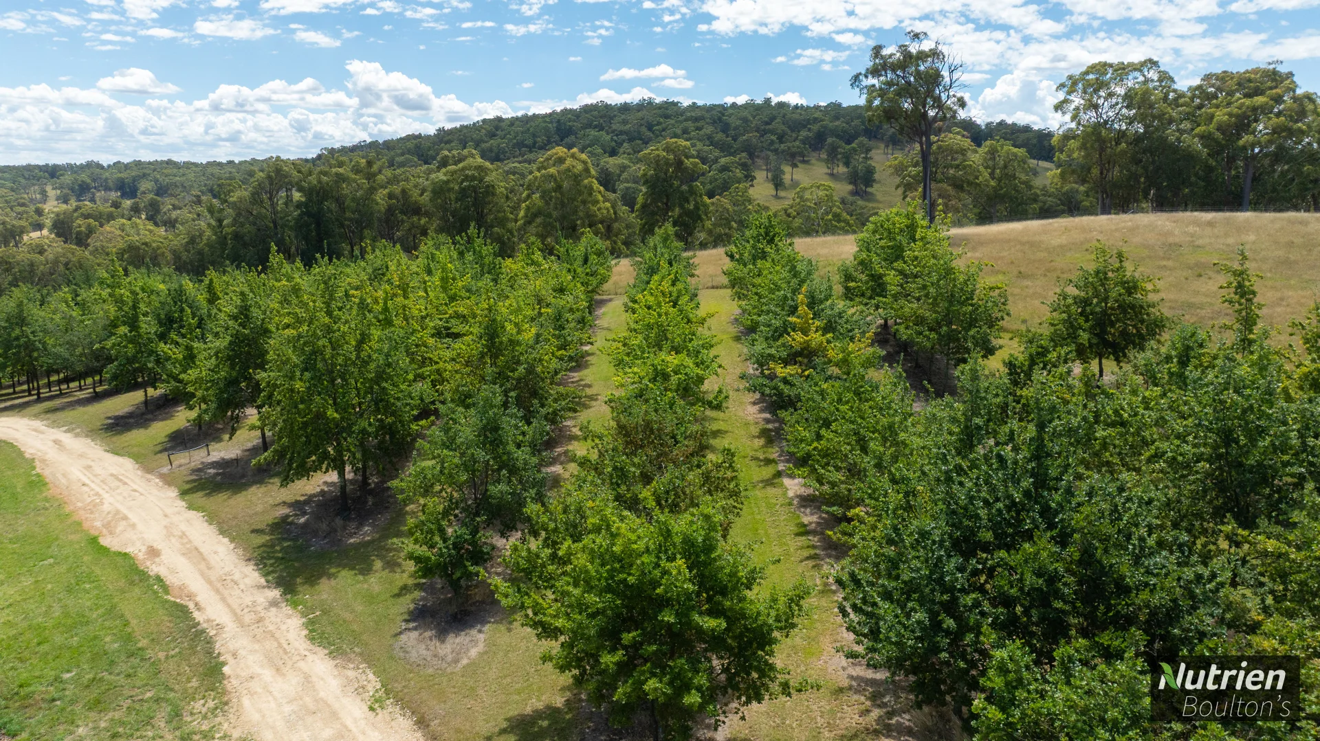 Additional image 45 of 224 Niangala-Walcha Road, Niangala NSW 2354
