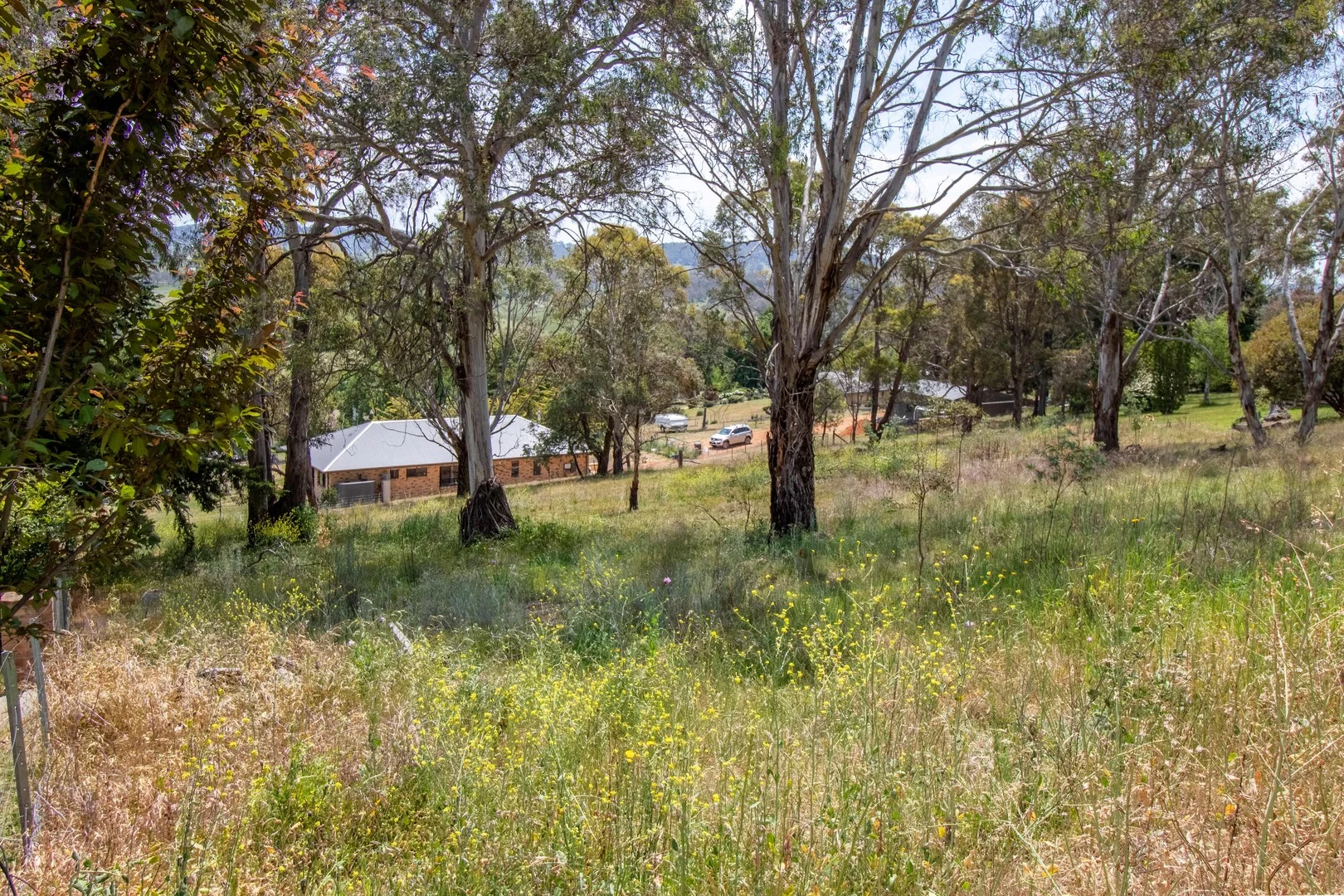 Additional image 2 of 213E-215E Croudace Street, Walcha NSW 2354