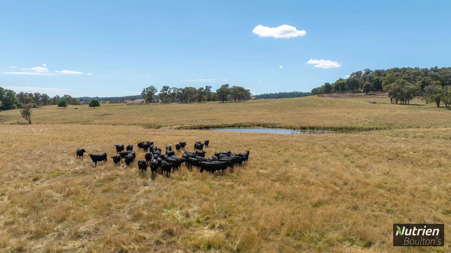 Additional image 32 of 224 Niangala-Walcha Road, Niangala NSW 2354