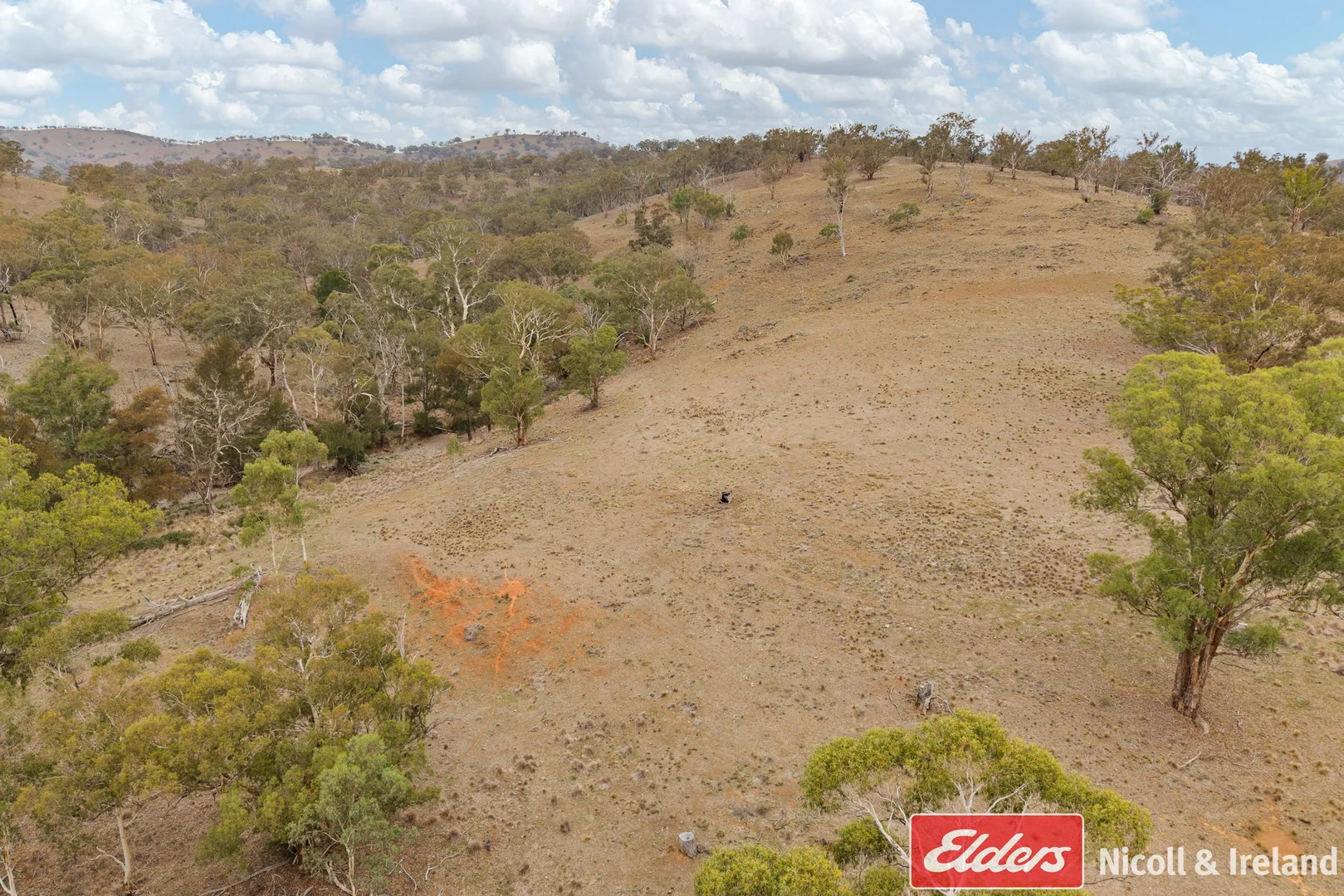 Additional image 10 of 2652 Ilford Road, Sofala NSW 2795