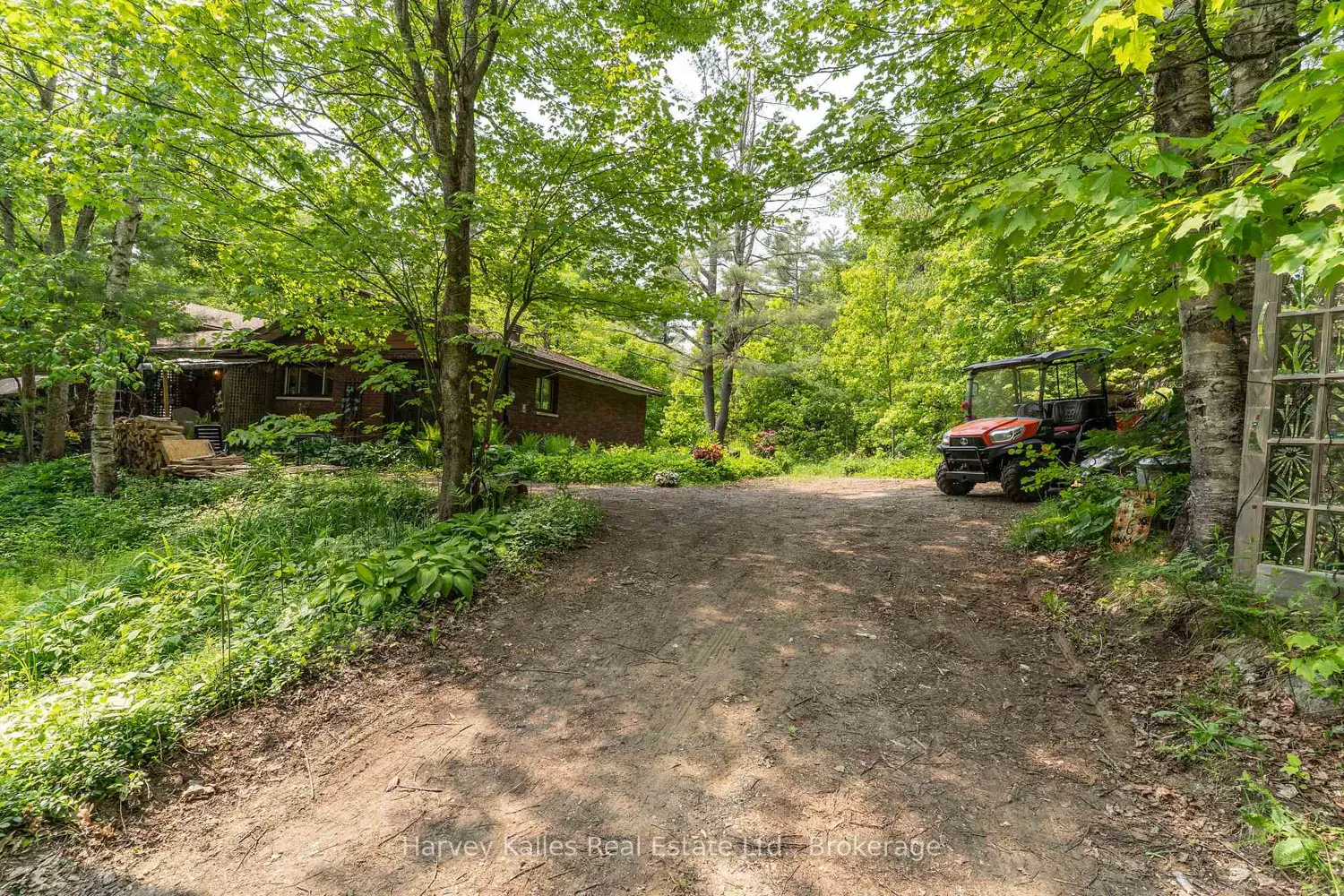 1099 Peterson Road photo 4