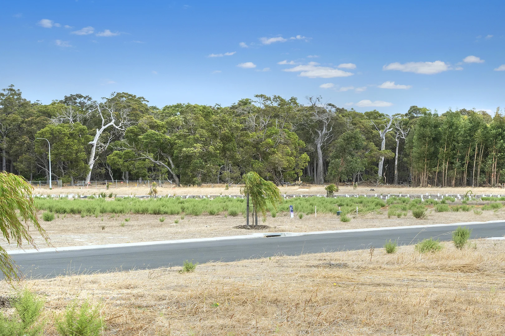 Additional image 6 of 13 Senecio Way, Witchcliffe WA 6286