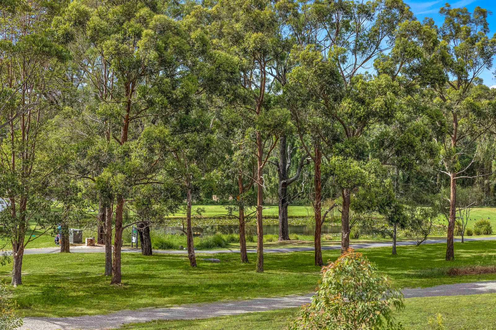 Additional image 7 of IC/028 Ibis Crescent, Shortland NSW 2307