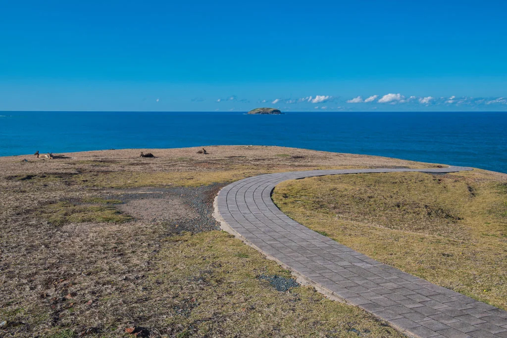 Additional image 11 of 41A Fishermans Drive, Emerald Beach NSW 2456