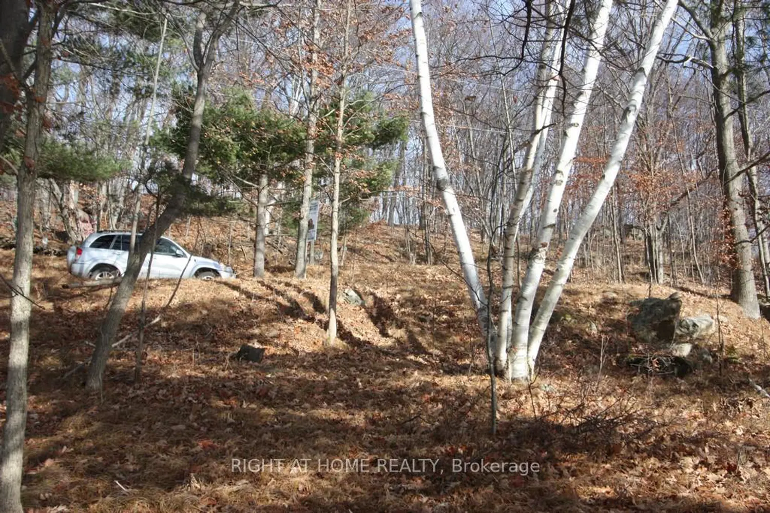 Additional image 2 of 00 Hopper Lane