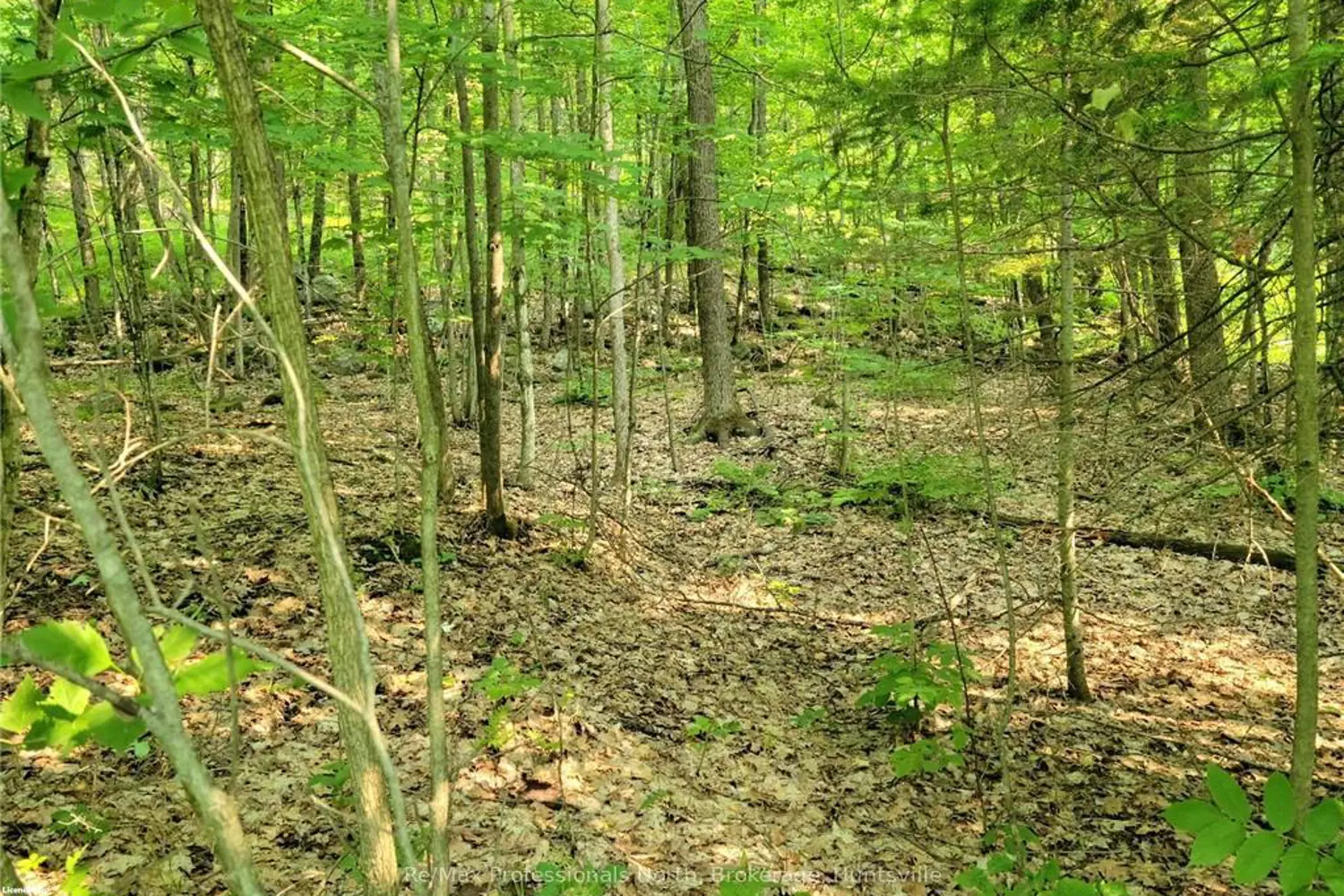 32 Mount Vernon Trail 22