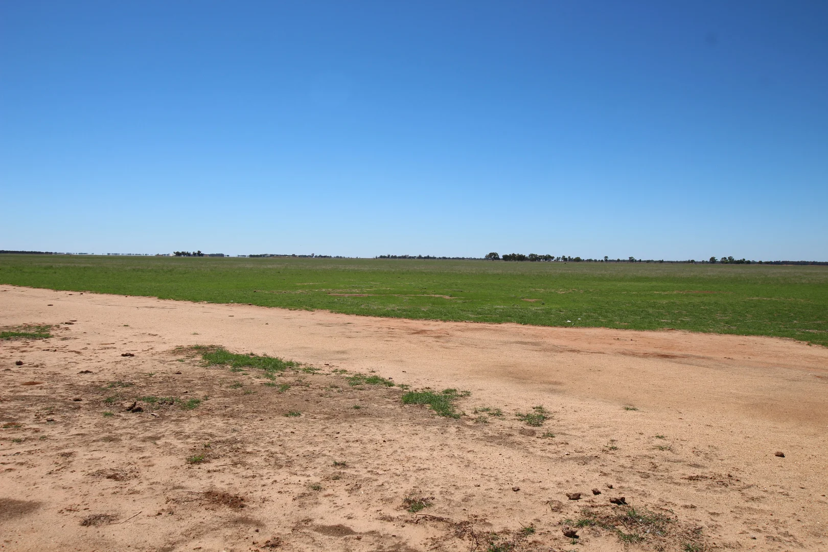 _ Millar Road, Mitiamo VIC 3573 photo 3