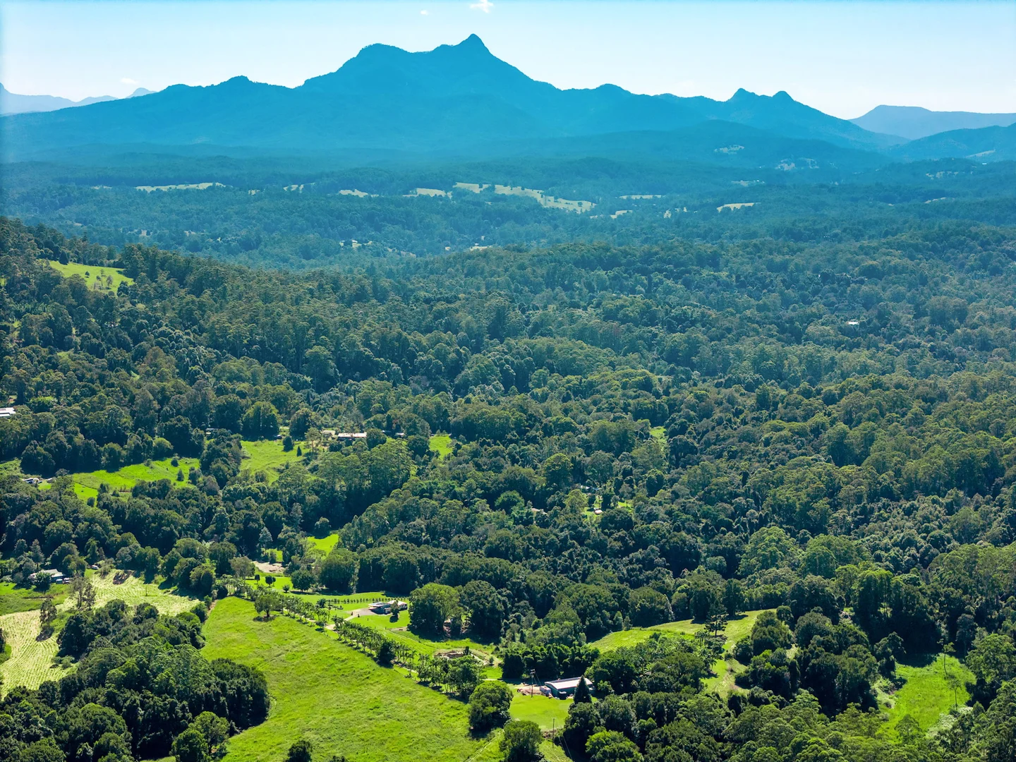 Additional image 45 of 61 Tallowood Road, Lillian Rock NSW 2480