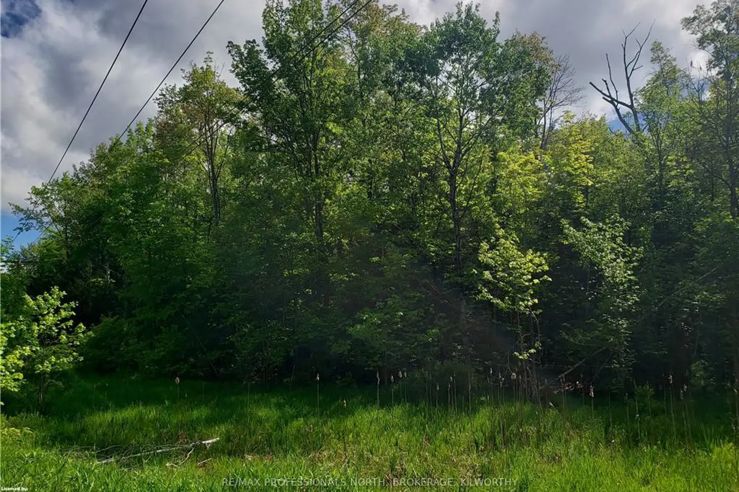 Additional image 9 of 0 Kilworthy Road Pt 2