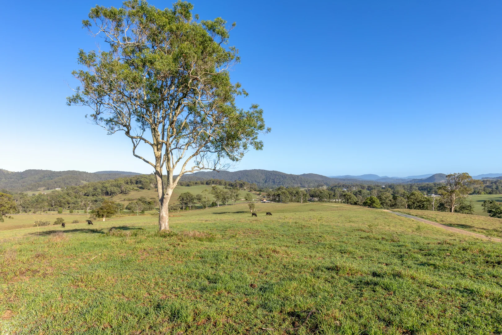 Additional image 8 of 2898 The Bucketts Way, Stroud NSW 2425