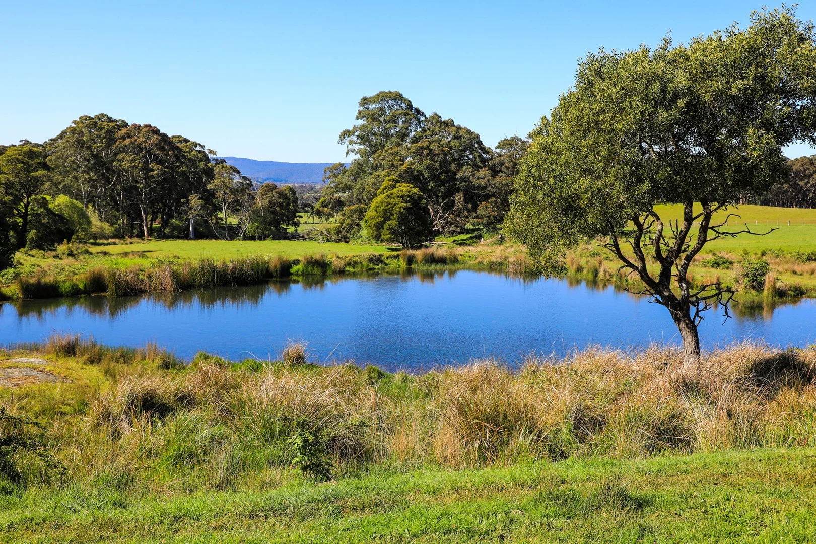 Cnr Straws Lane & Falls Road, Hesket VIC 3442