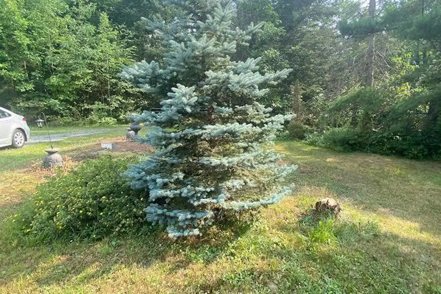 Additional image 4 of 1104 Hawn Road
