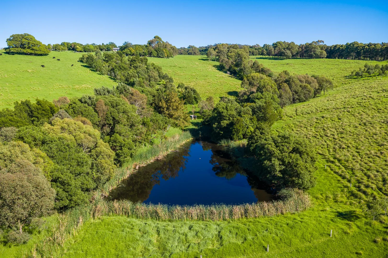 Additional image 54 of 259 Barrabooka Road, Tanja NSW 2550