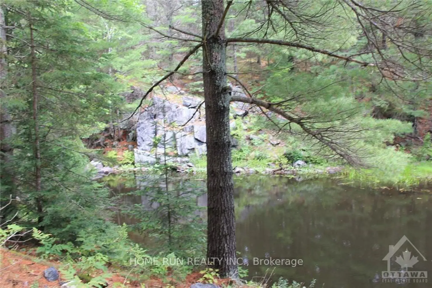 Additional image 3 of 1068A Jacques Bay Road