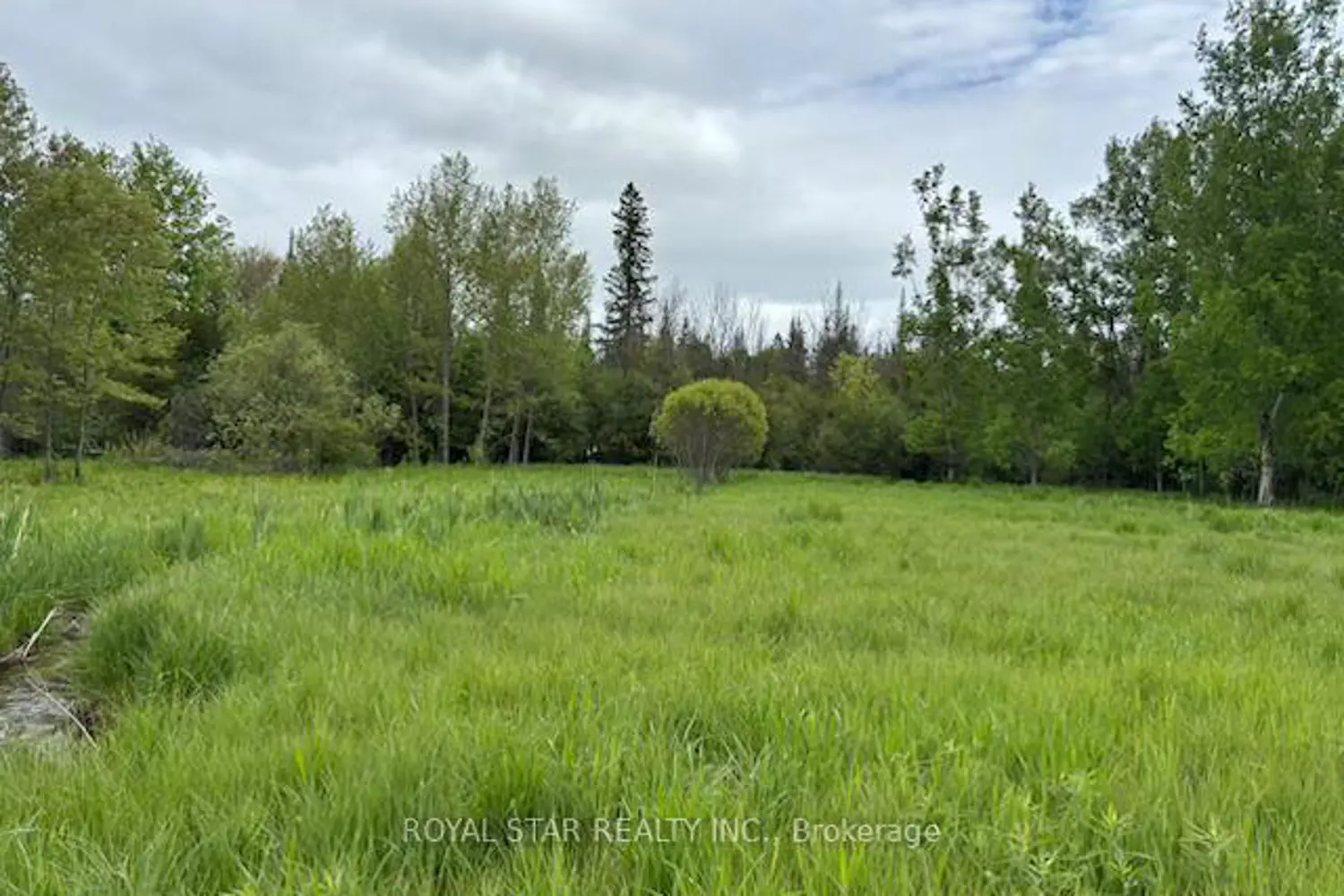 Additional image 7 of 104264 Grey Road 18