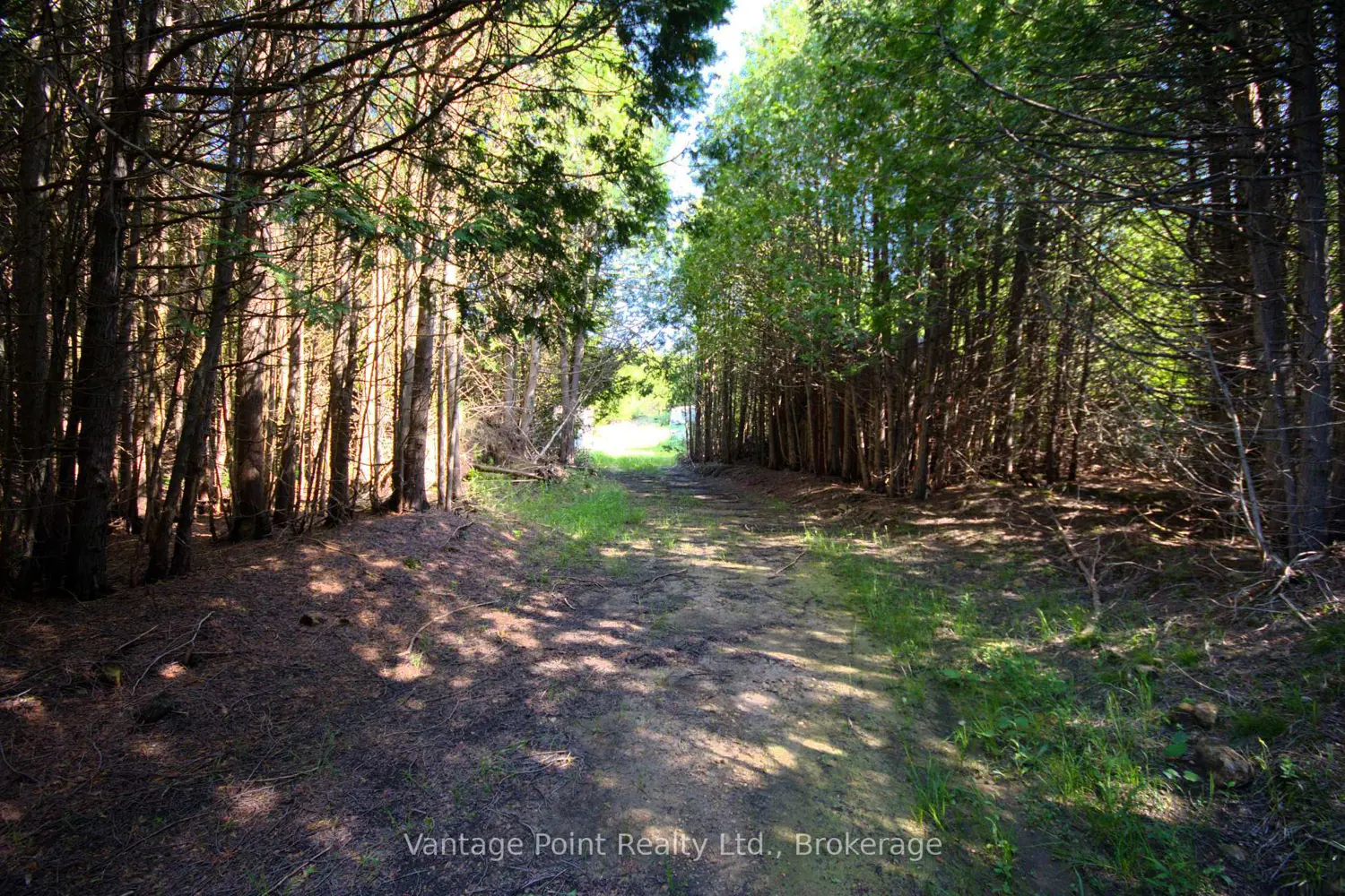 Additional image 17 of 775381 10 Highway