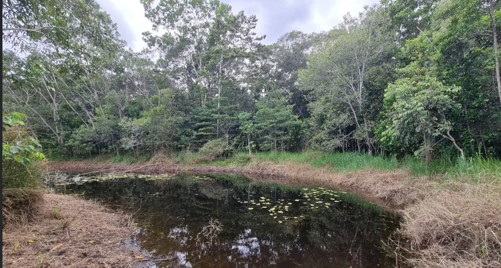 Additional image 8 of 91 Mary Jane Drive, Julatten QLD 4871