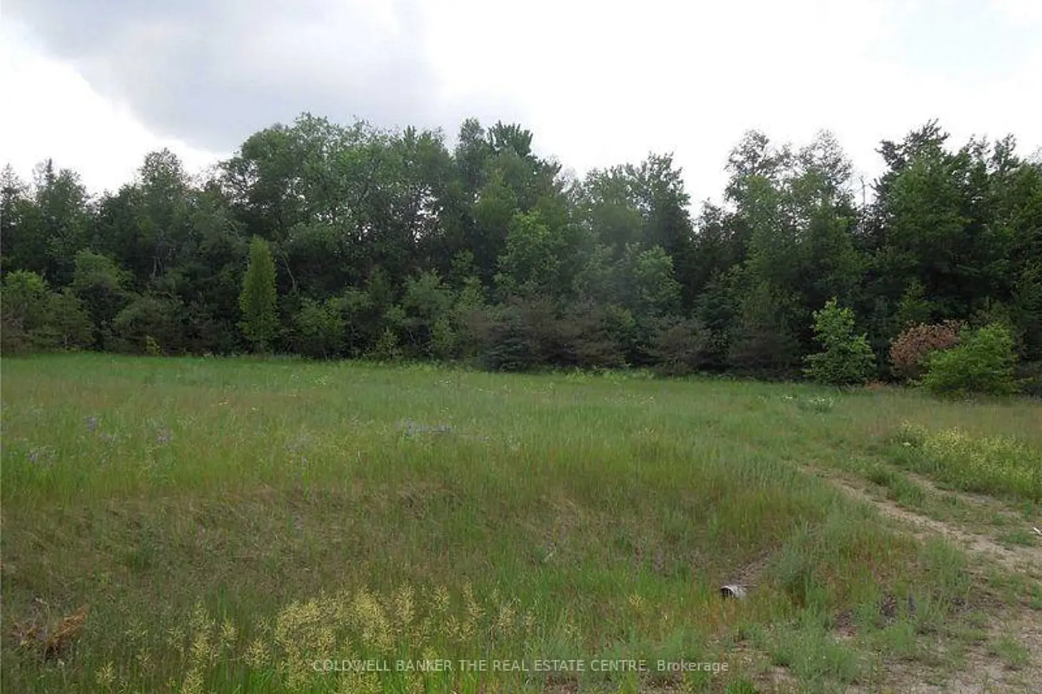 6 Tioga Boulevard photo 5