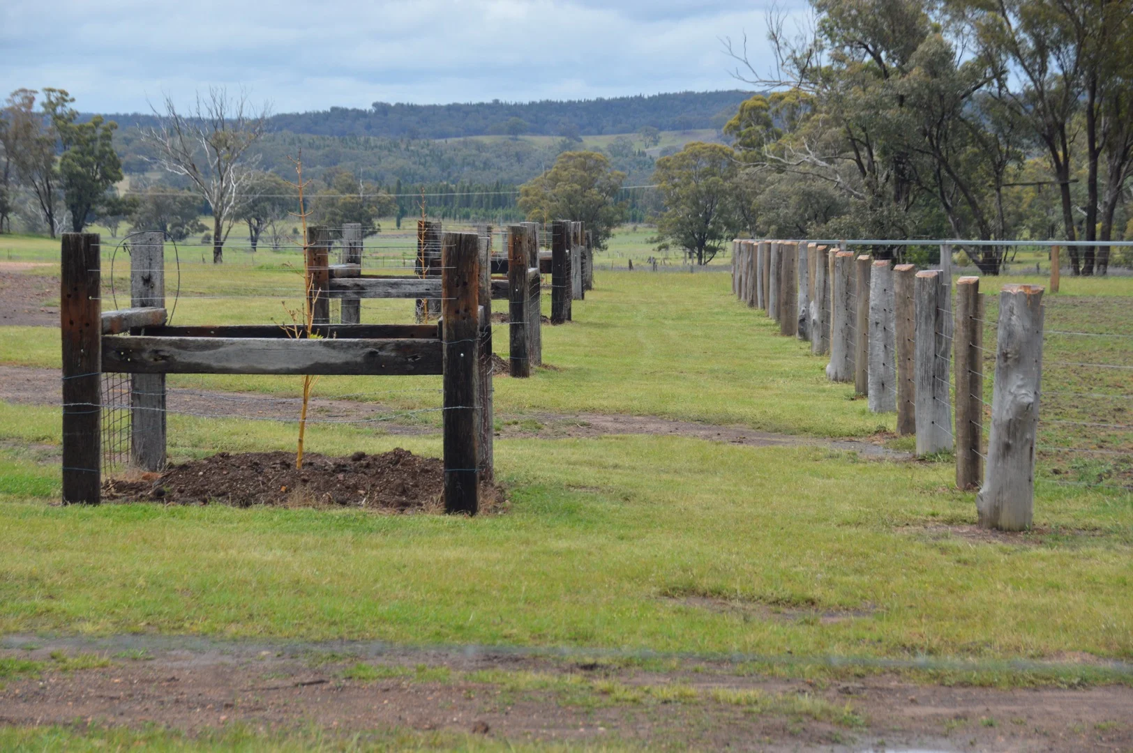 Additional image 21 of 1920 Castlereagh Highway, Dunedoo NSW 2844