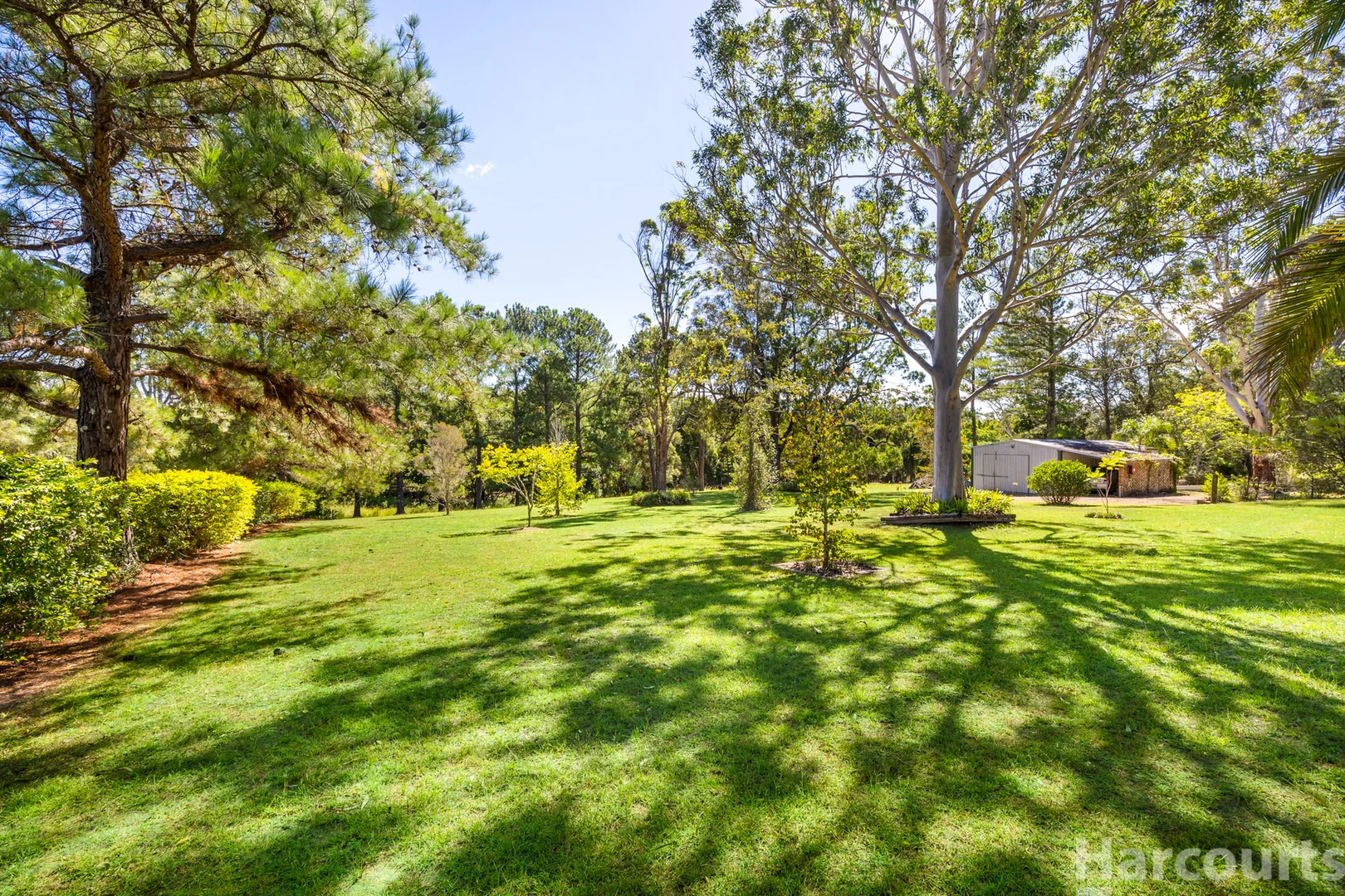 Additional image 13 of 104 Bunderra Drive, Beechwood NSW 2446