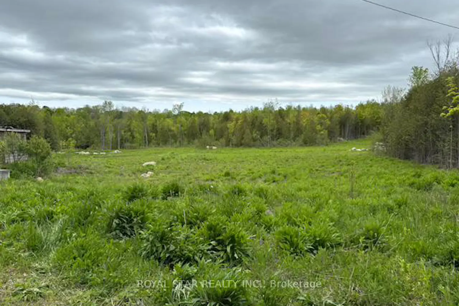 Additional image 13 of 104264 Grey Road 18
