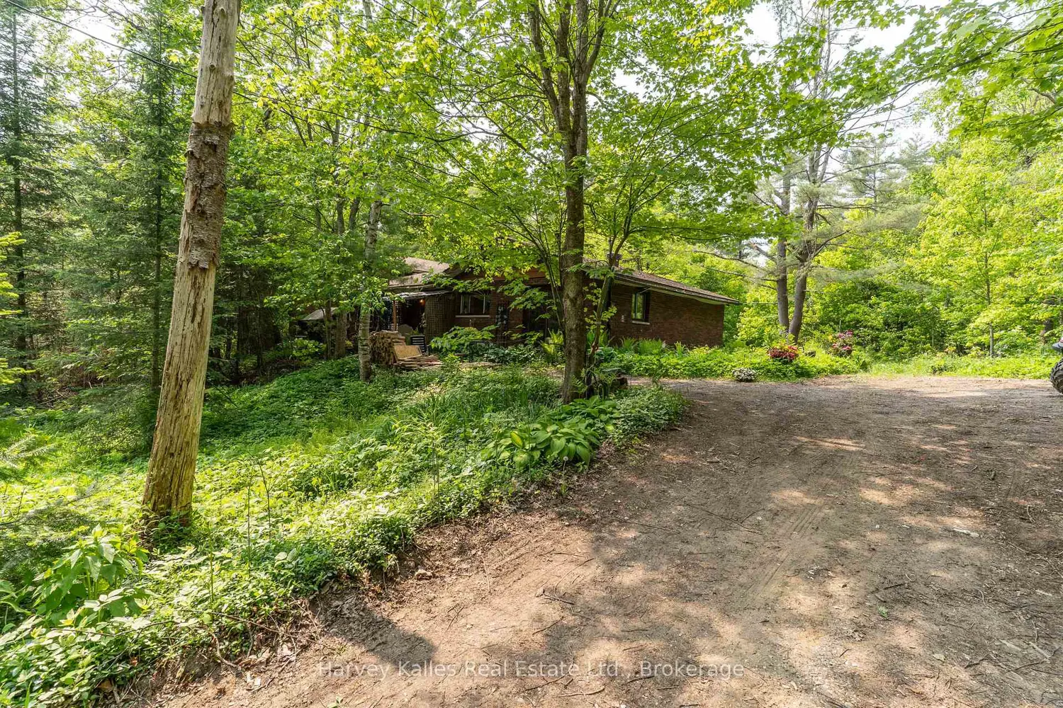 1099 Peterson Road photo 2