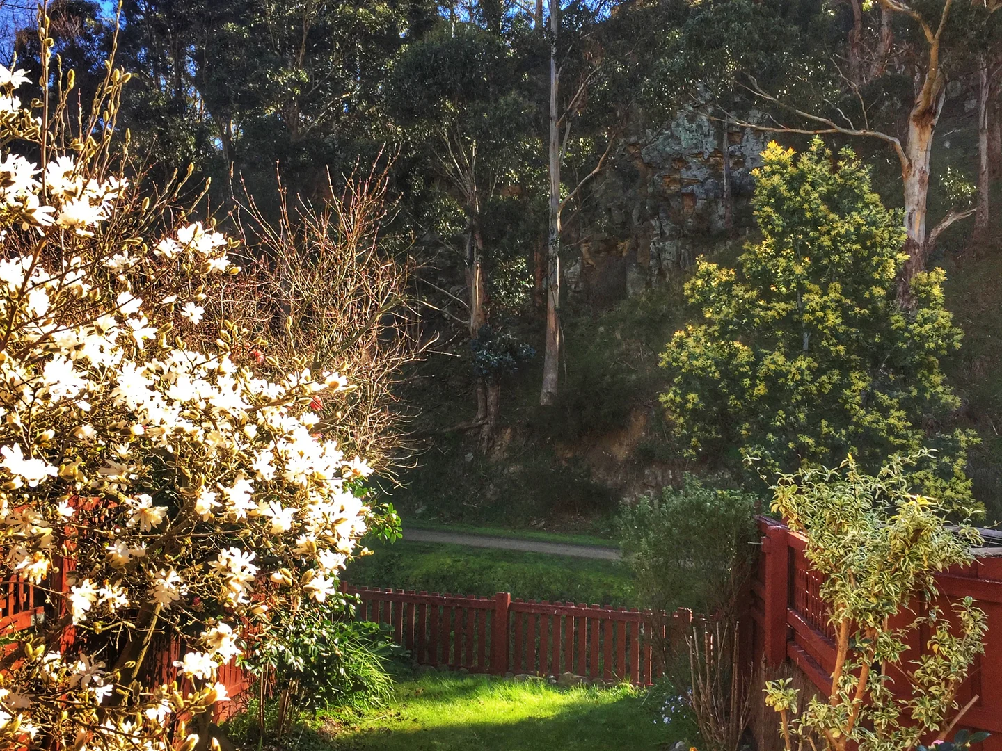 Additional image 8 of 10/40 Macfarlane Street, South Hobart TAS 7004