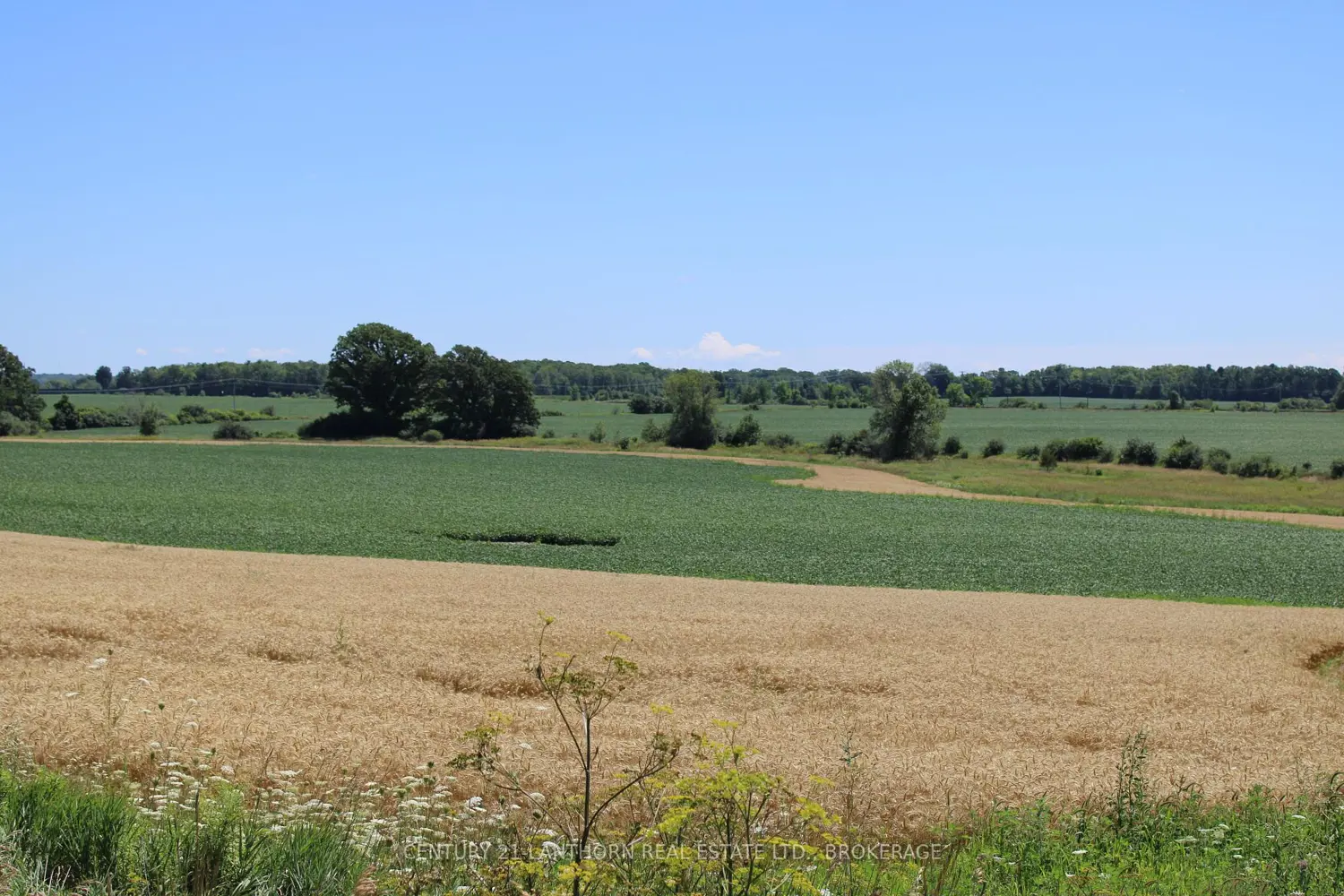 Lt15-16 County Road 1 photo 3