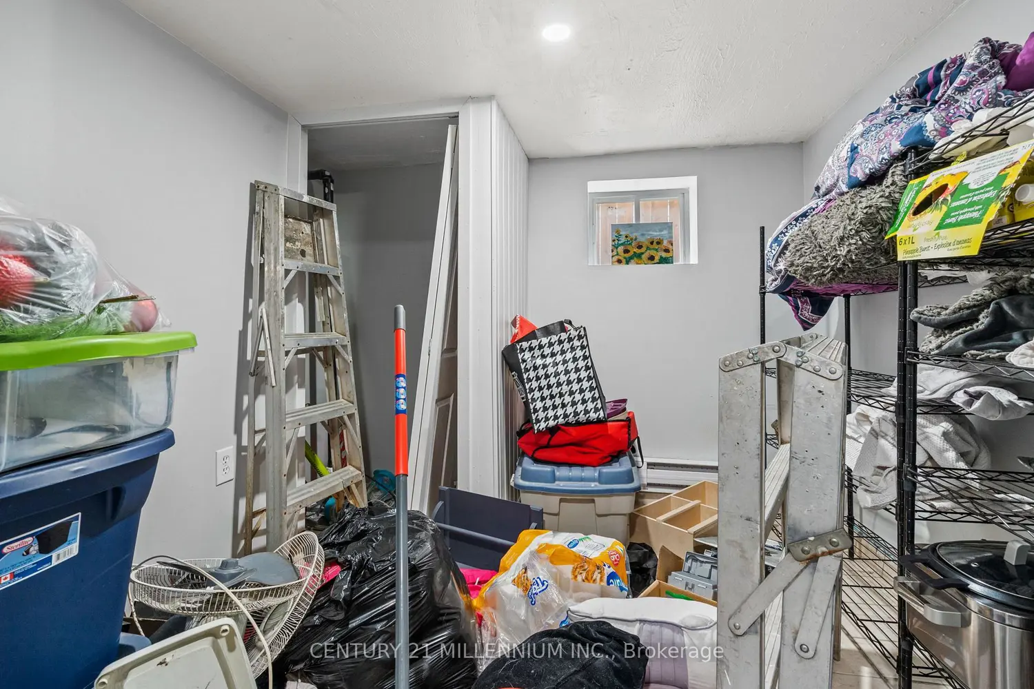 Additional image 6 of 207 Beaver Street